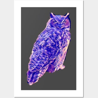 Owl Posters and Art